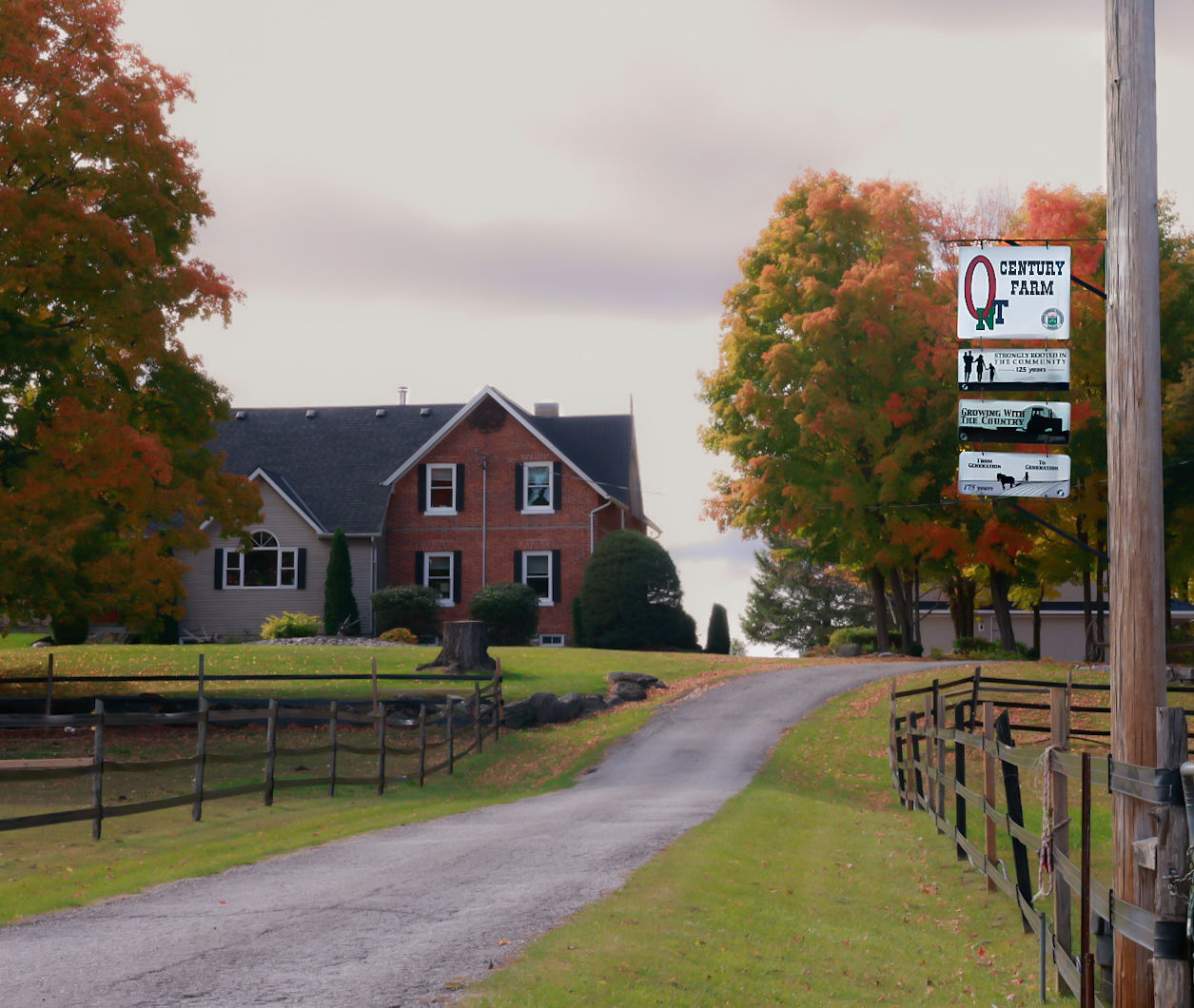 Greenwood Hill Nature Haven
