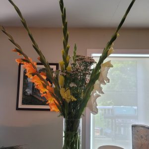Fresh Cut Flowers