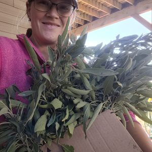 Fresh Herbs